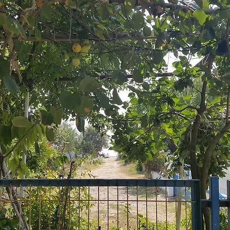 Torunlar Country house Halic