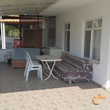 Torunlar